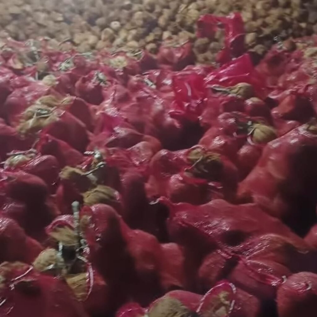 WhatsApp Image 2025-07-31 at 22.32.41